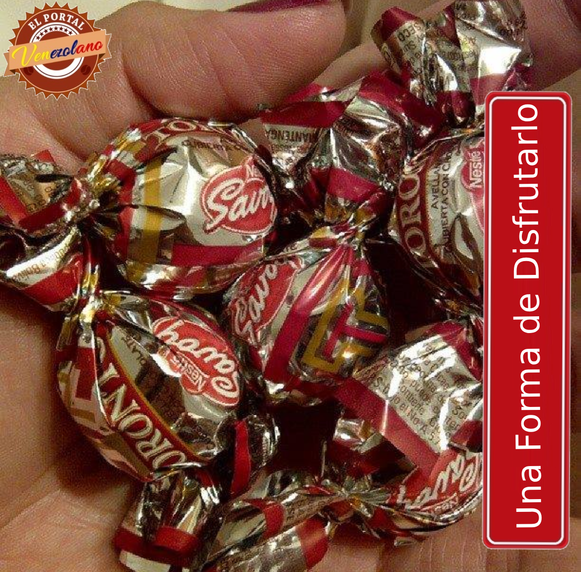 Torontos Bombón Savoy Venezuela x 36